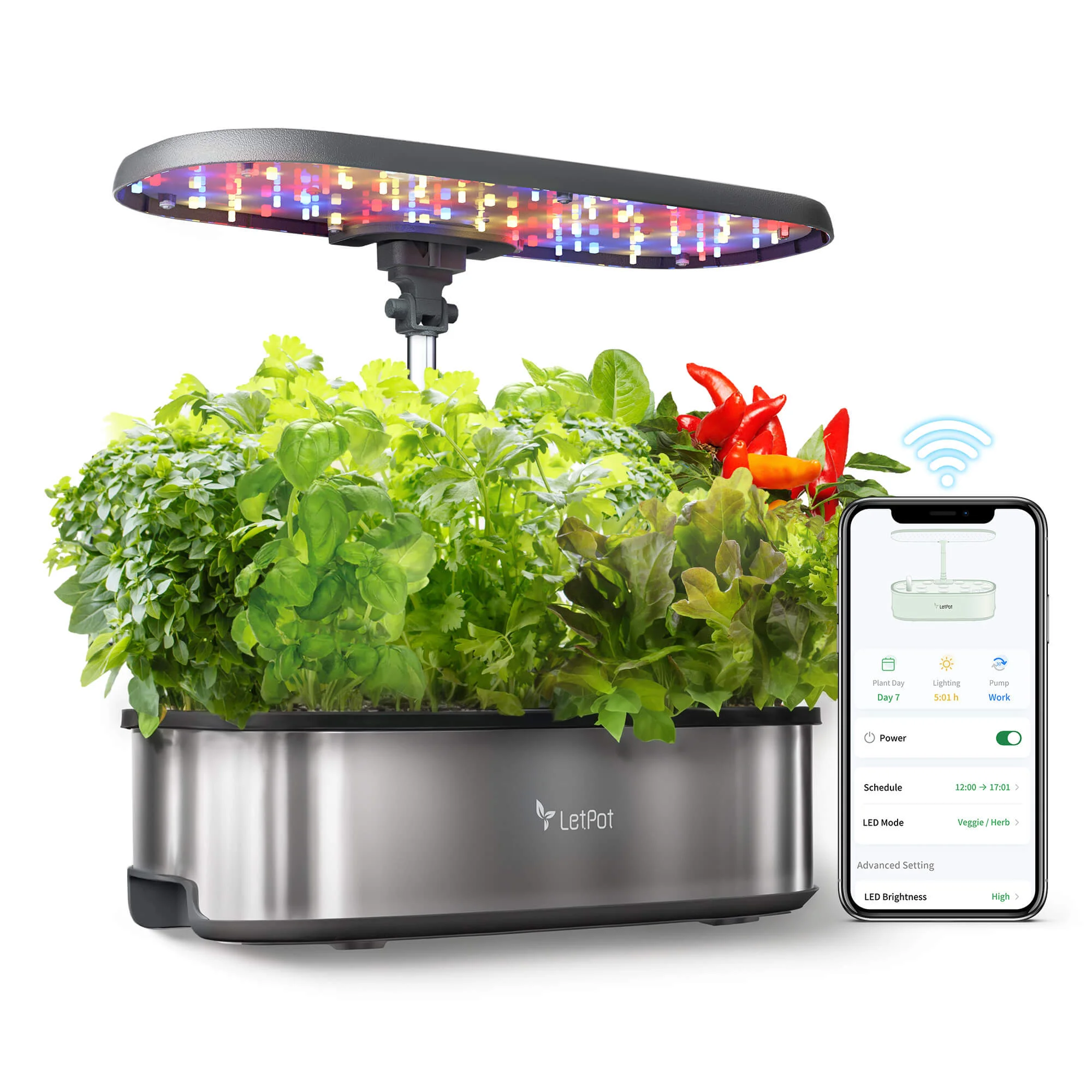 LetPot Senior 12-Pod Hydroponic Growing System