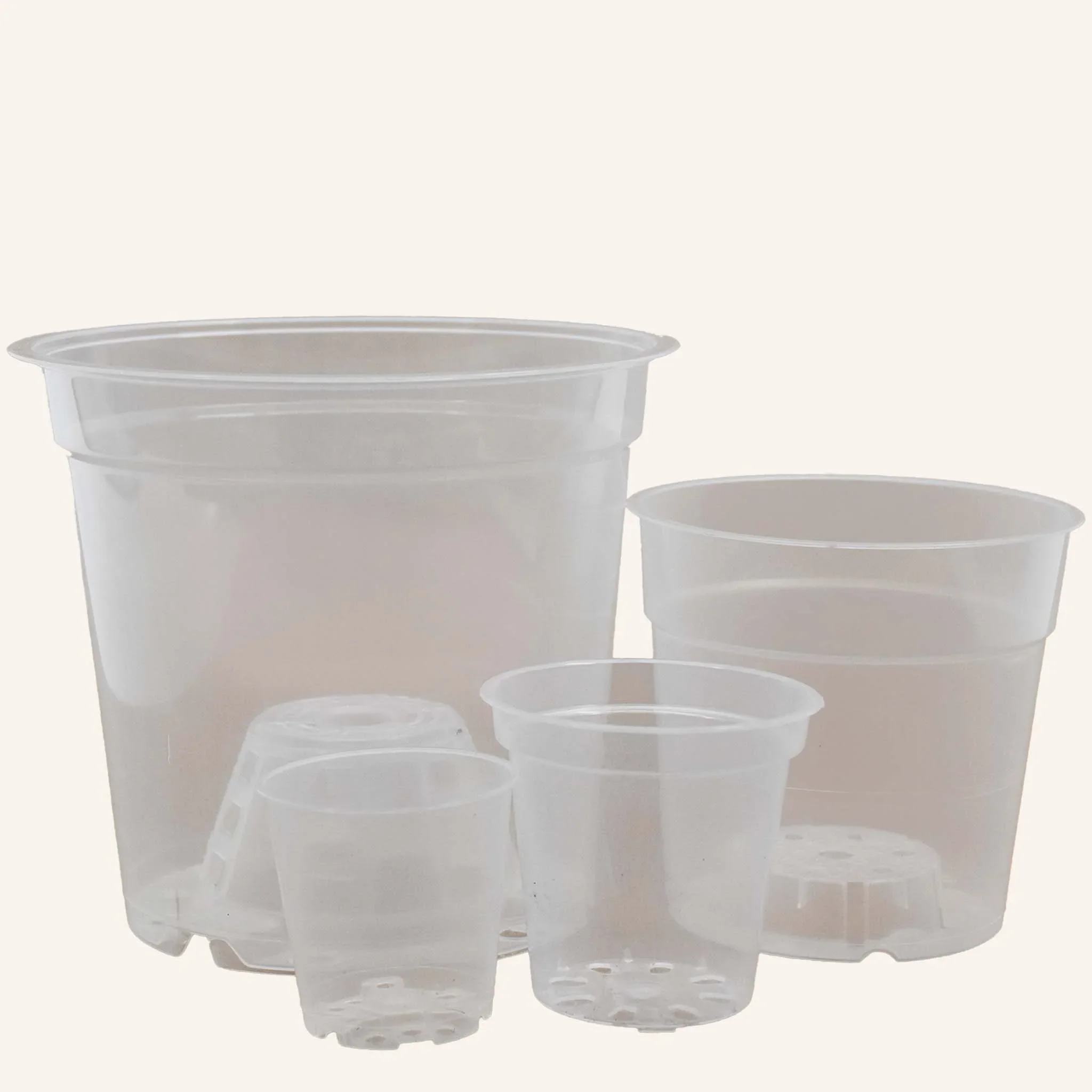 Pot transparent orchidée