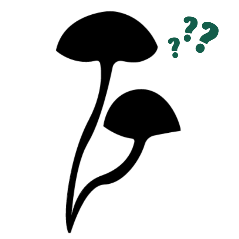 FREE Mystery Gifts