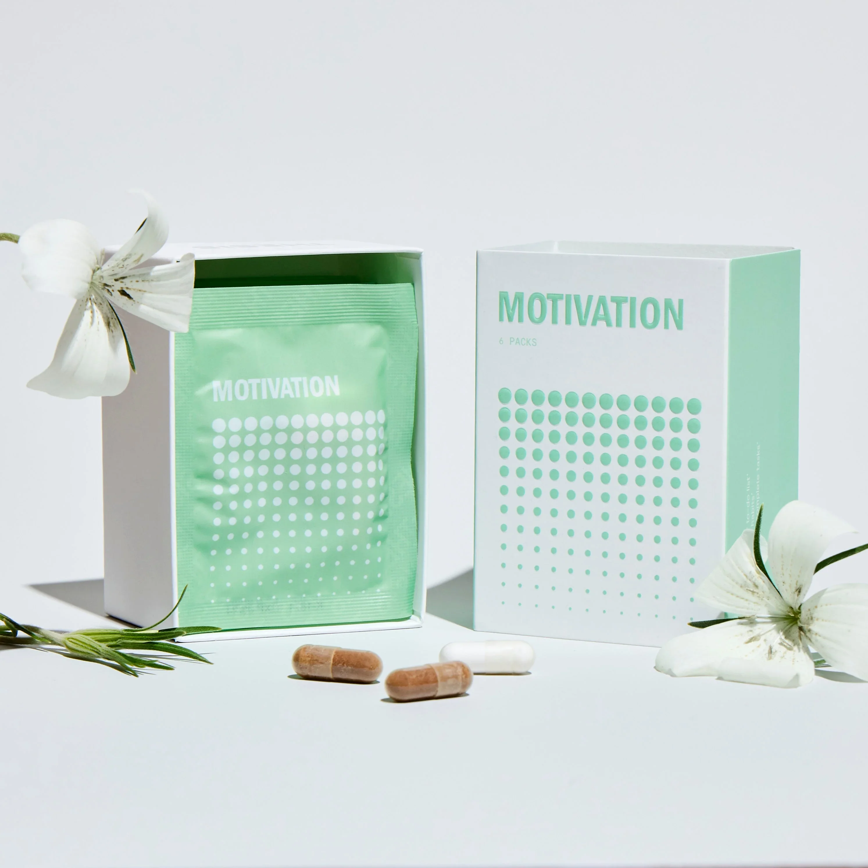 Motivation - 6 Travel Packs
