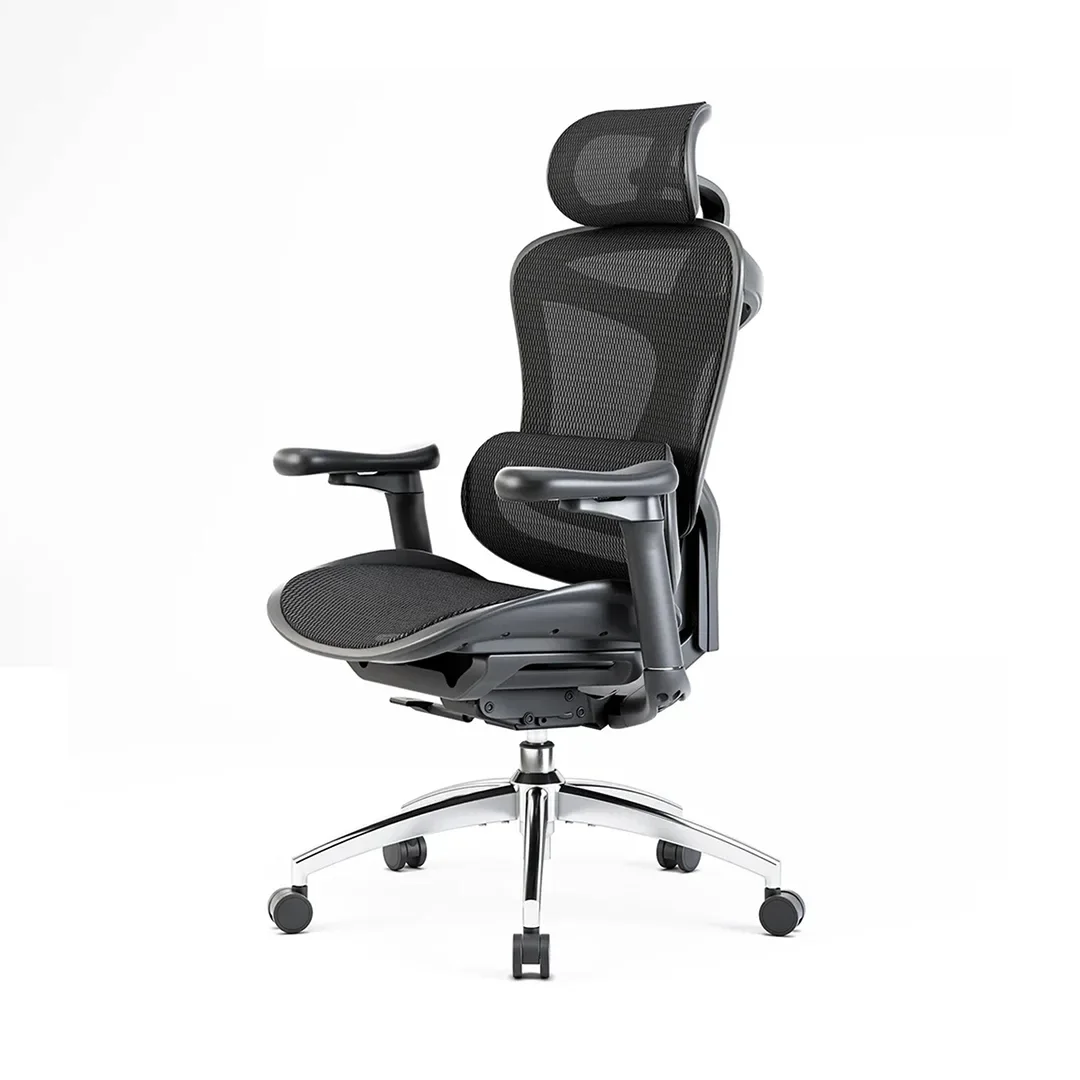 Sihoo C300 Advanced Ergonomic Office Chair with Advanced Back Support