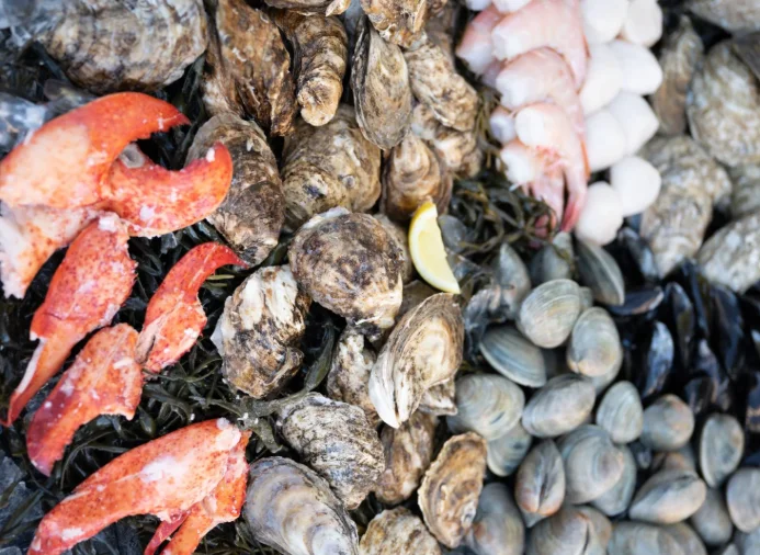 Mixed Shellfish Box – Clams, Mussels & Oysters