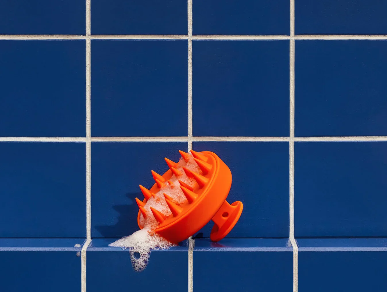 Scalp Brush