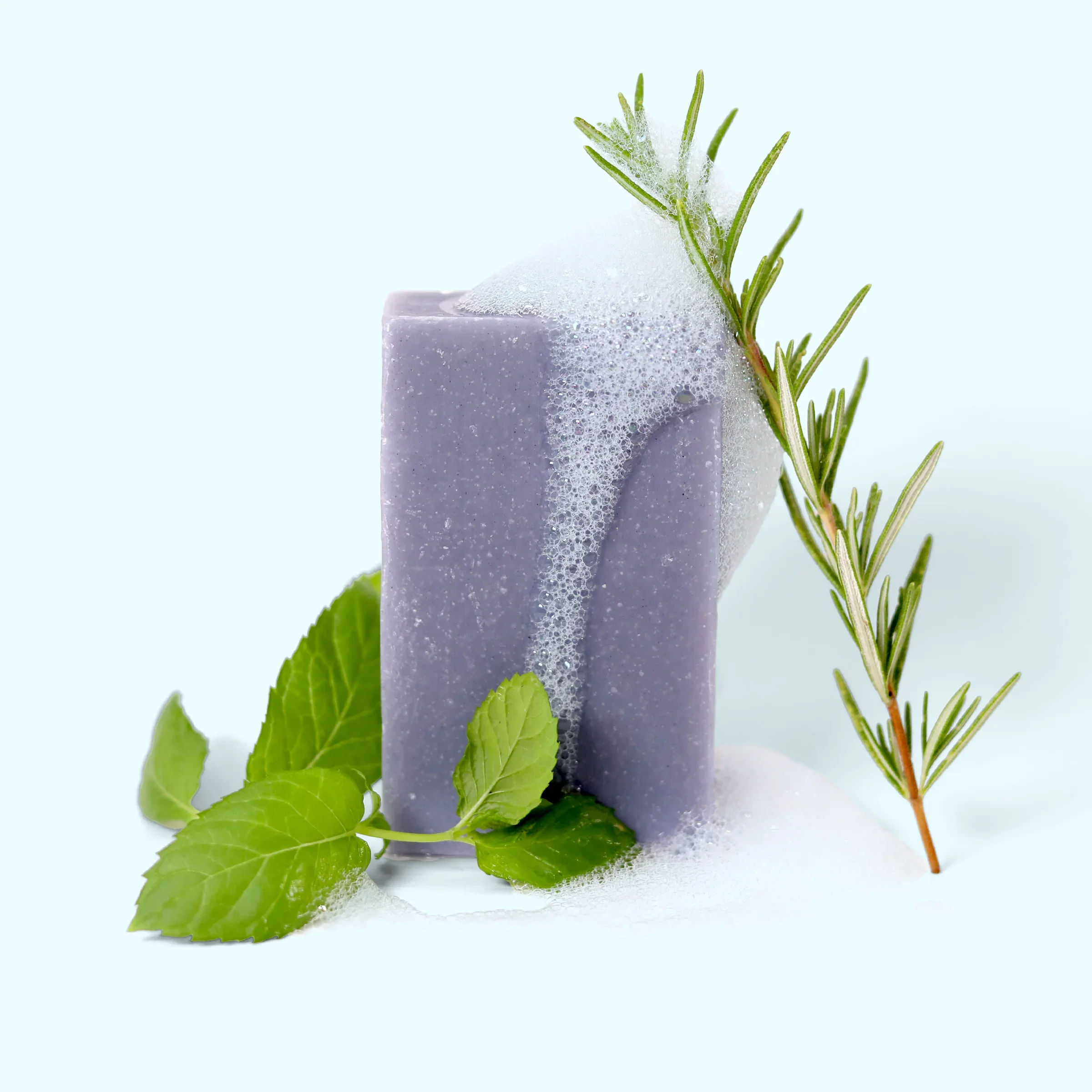 Navigator - Eucalyptus Mint