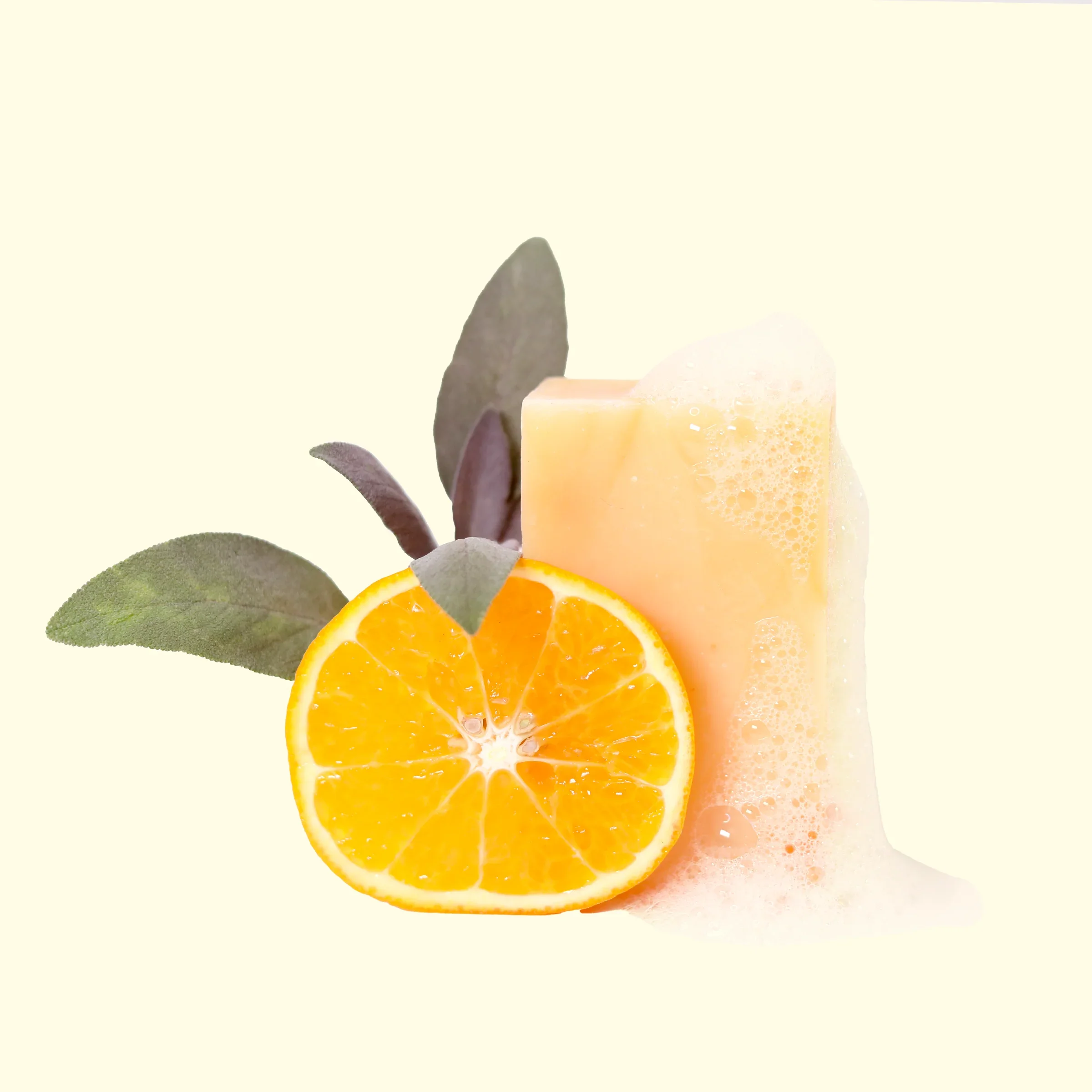 Trailblazer - Bright Citrus