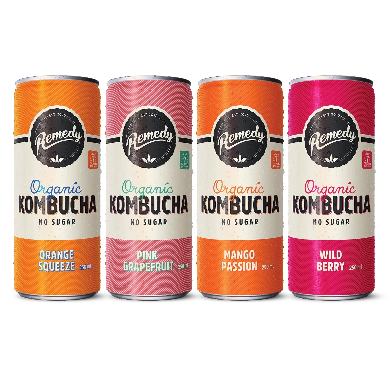 Remedy Kombucha Fruity Faves