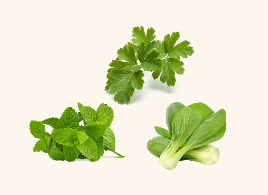 Asian Cuisine Seed Mix