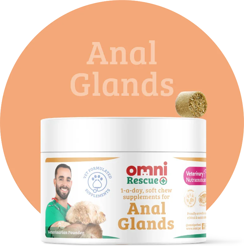 Anal Glands Supplement