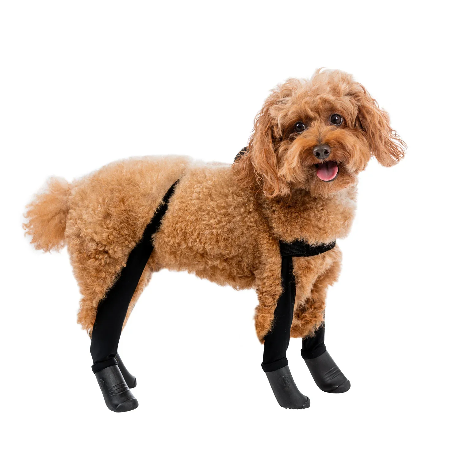 Deluxe Dog Boot Leggings