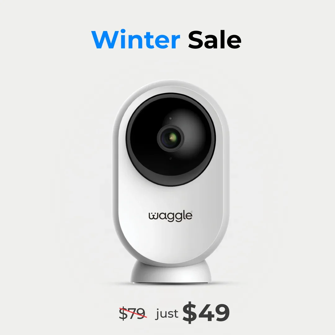 Waggle RV WiFi Mini Cam