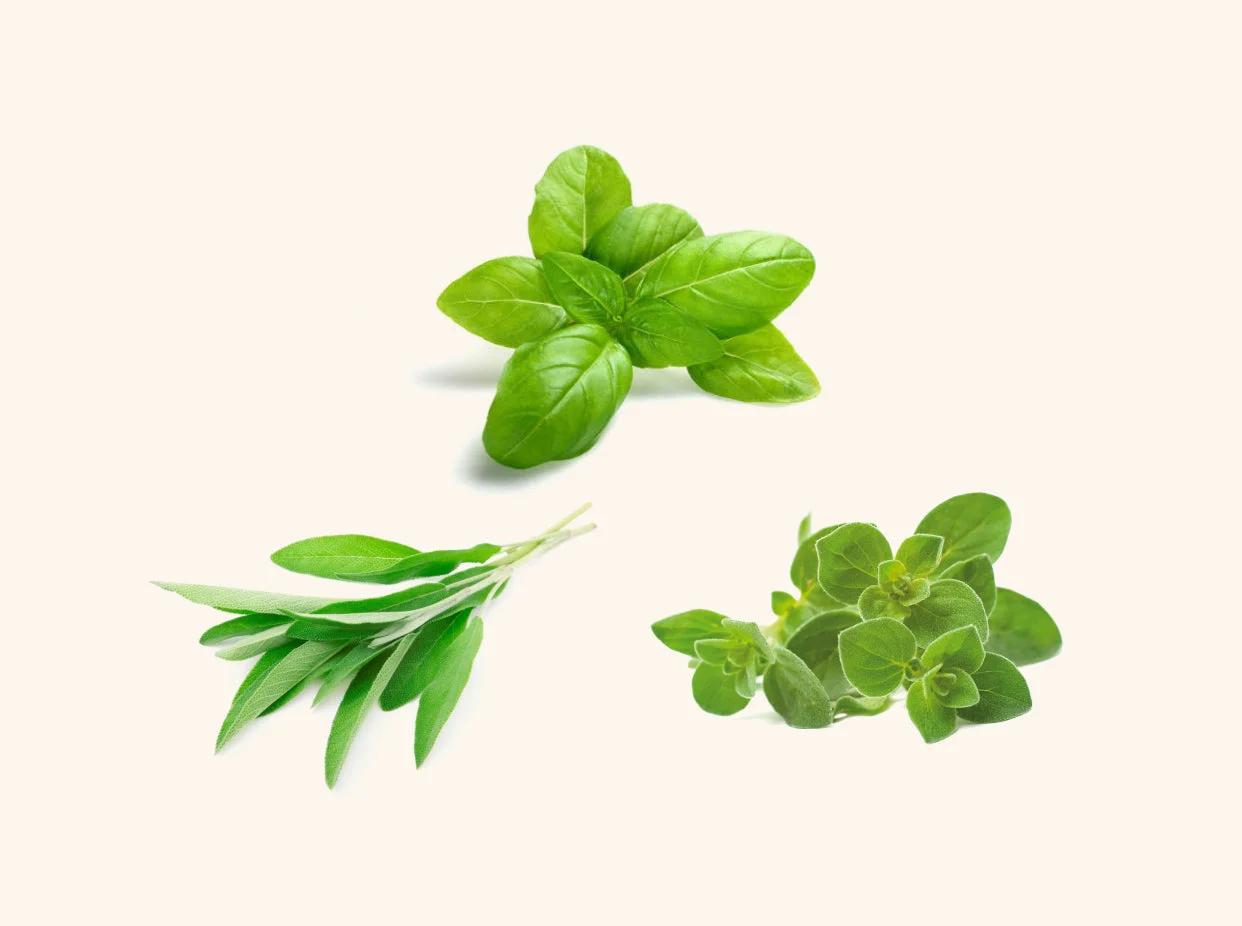 Italian Cuisine Seed Mix