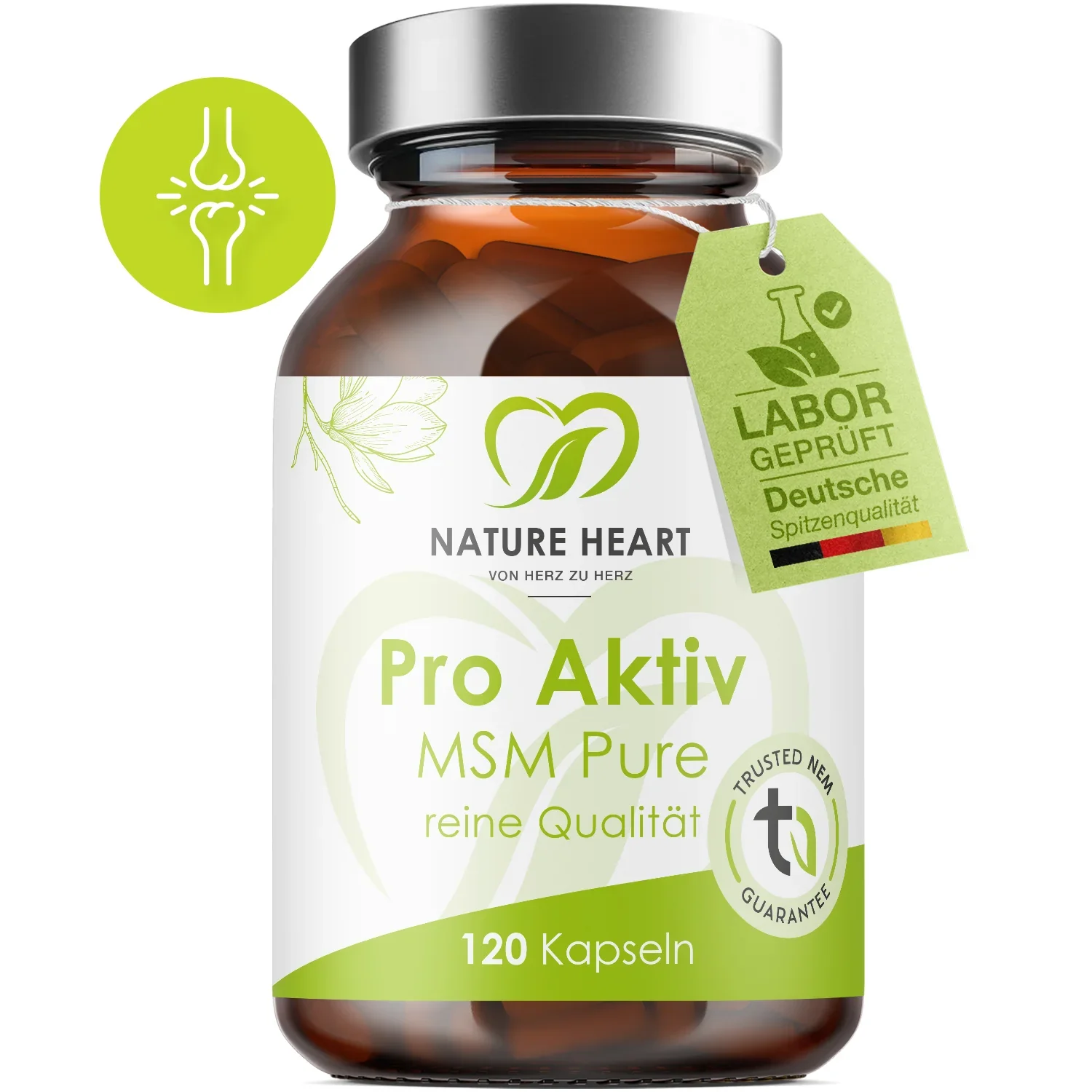 MSM Pure Pro Aktiv