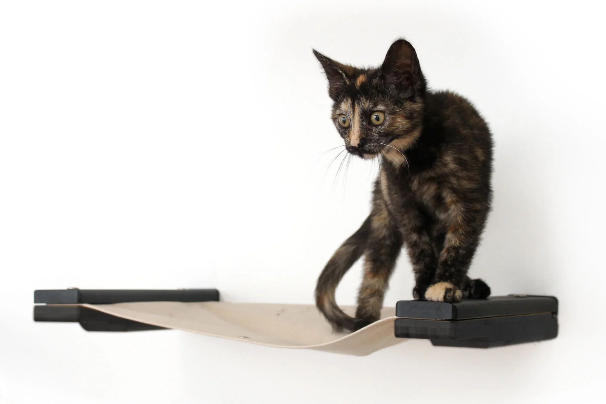 Hanging Cat Bed Hammock