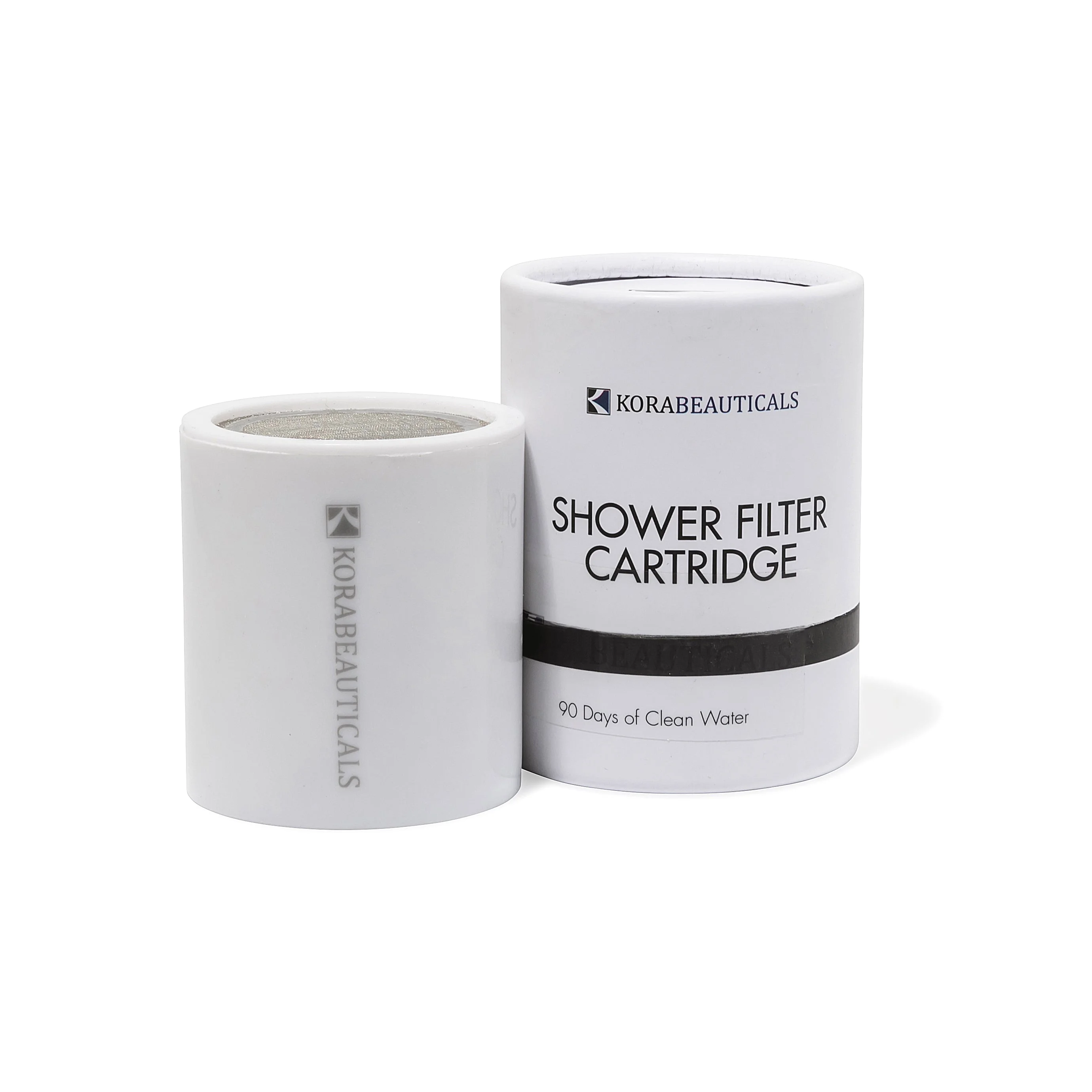 Shower Head Filter Replacement