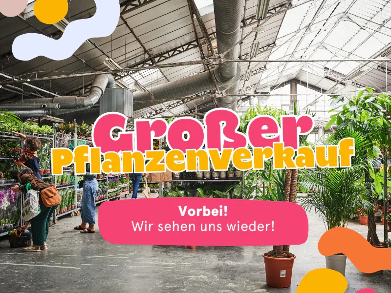 Großer Pflanzenverkauf <br> Weil am Rhein