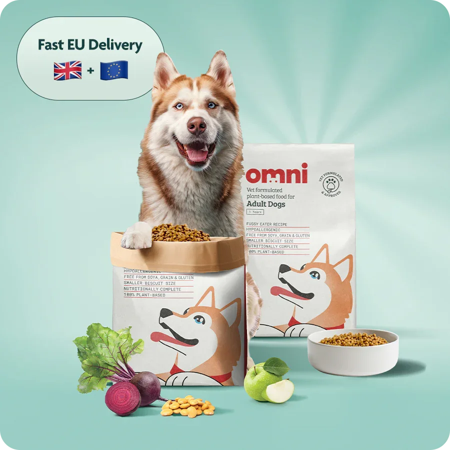 Sensitive Adult Dry Food