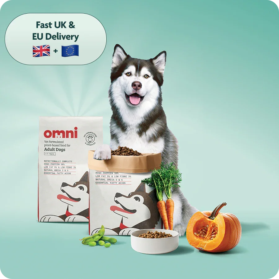 Adult Dry Food