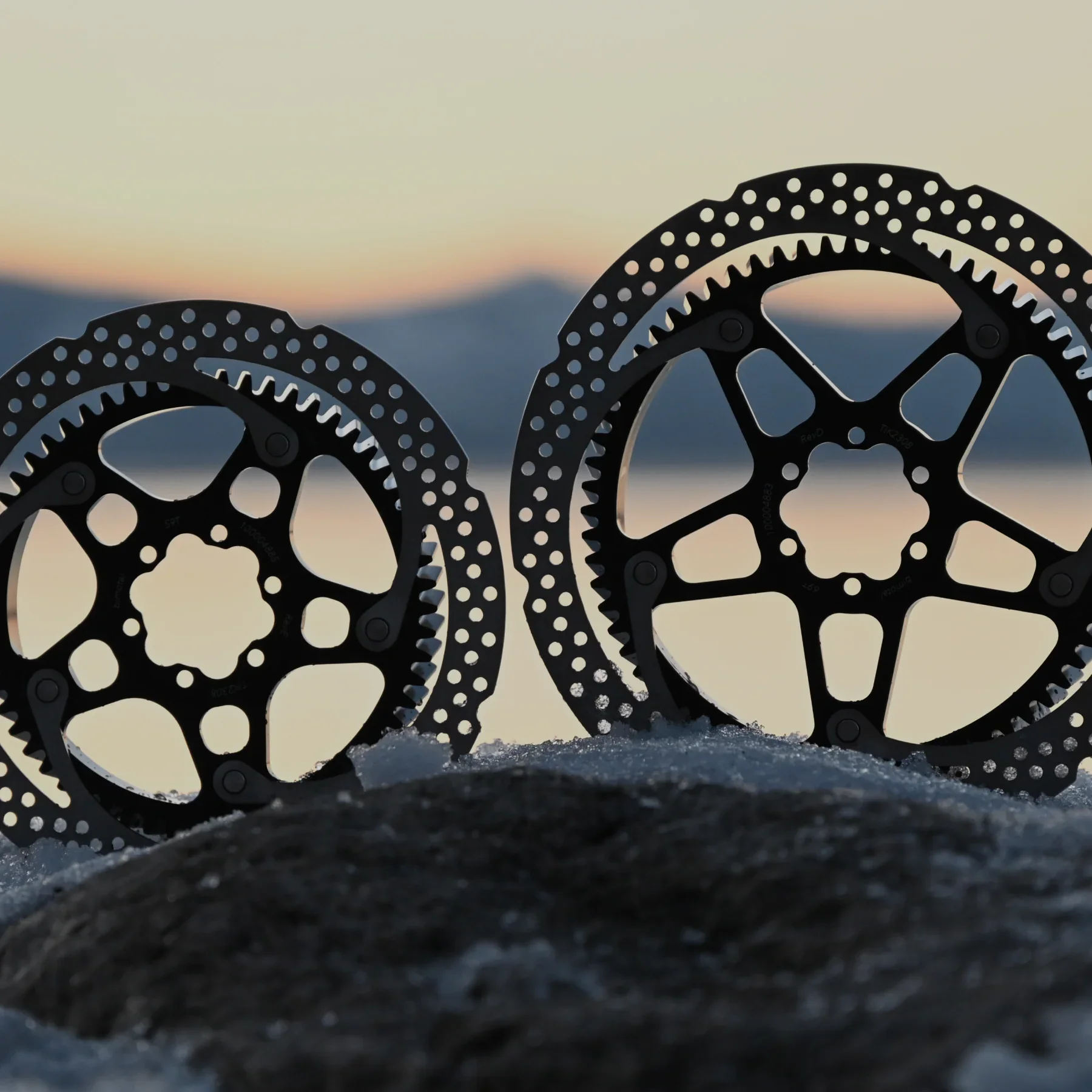 Elevate Ebike Rotor Gear