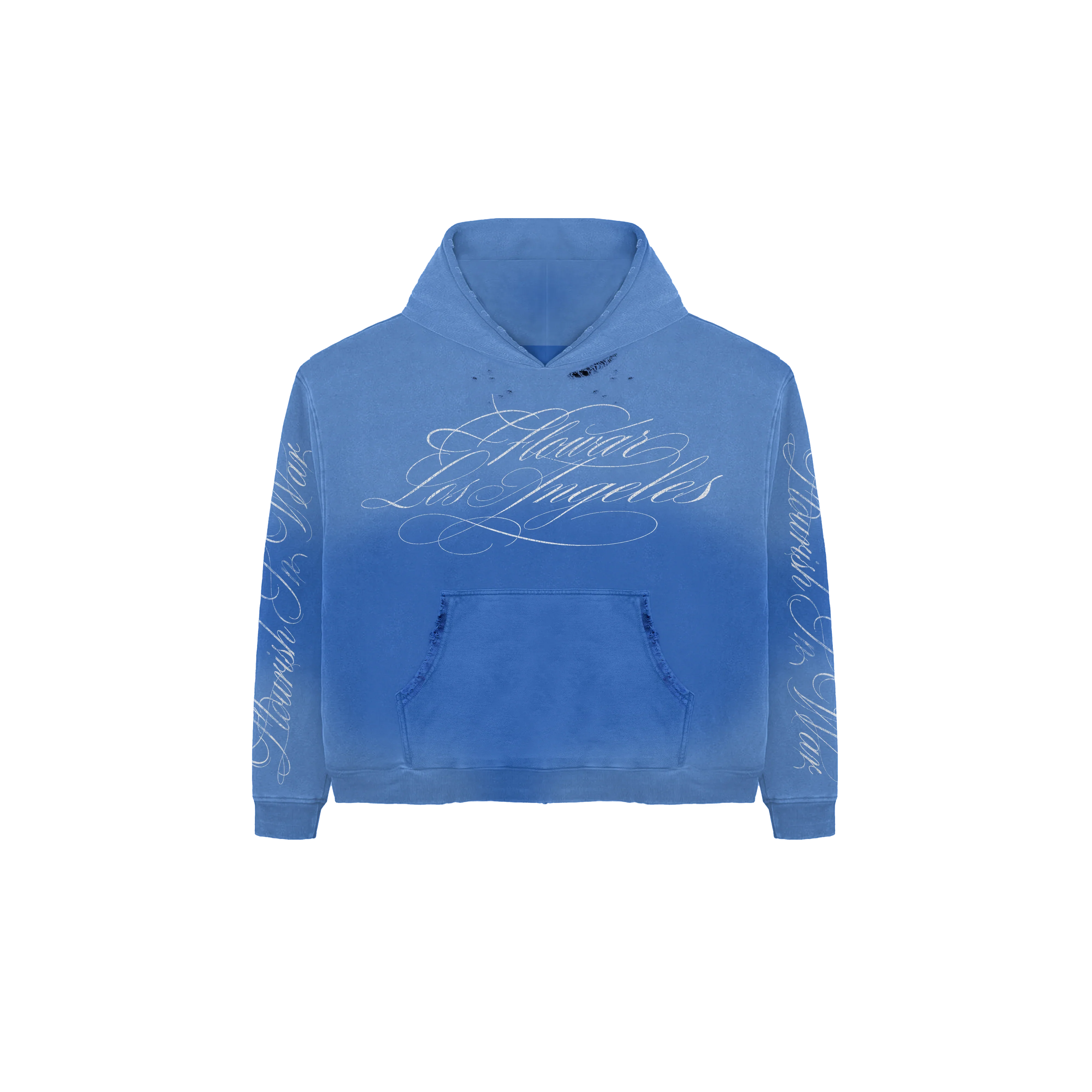 BLUEBERRY WASH HOODIE