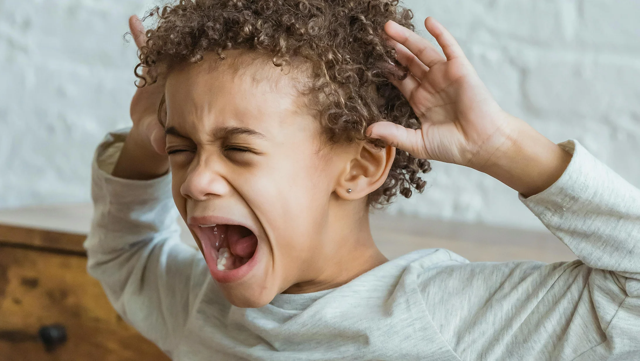 Big Feelers + Toddler Course BUNDLE