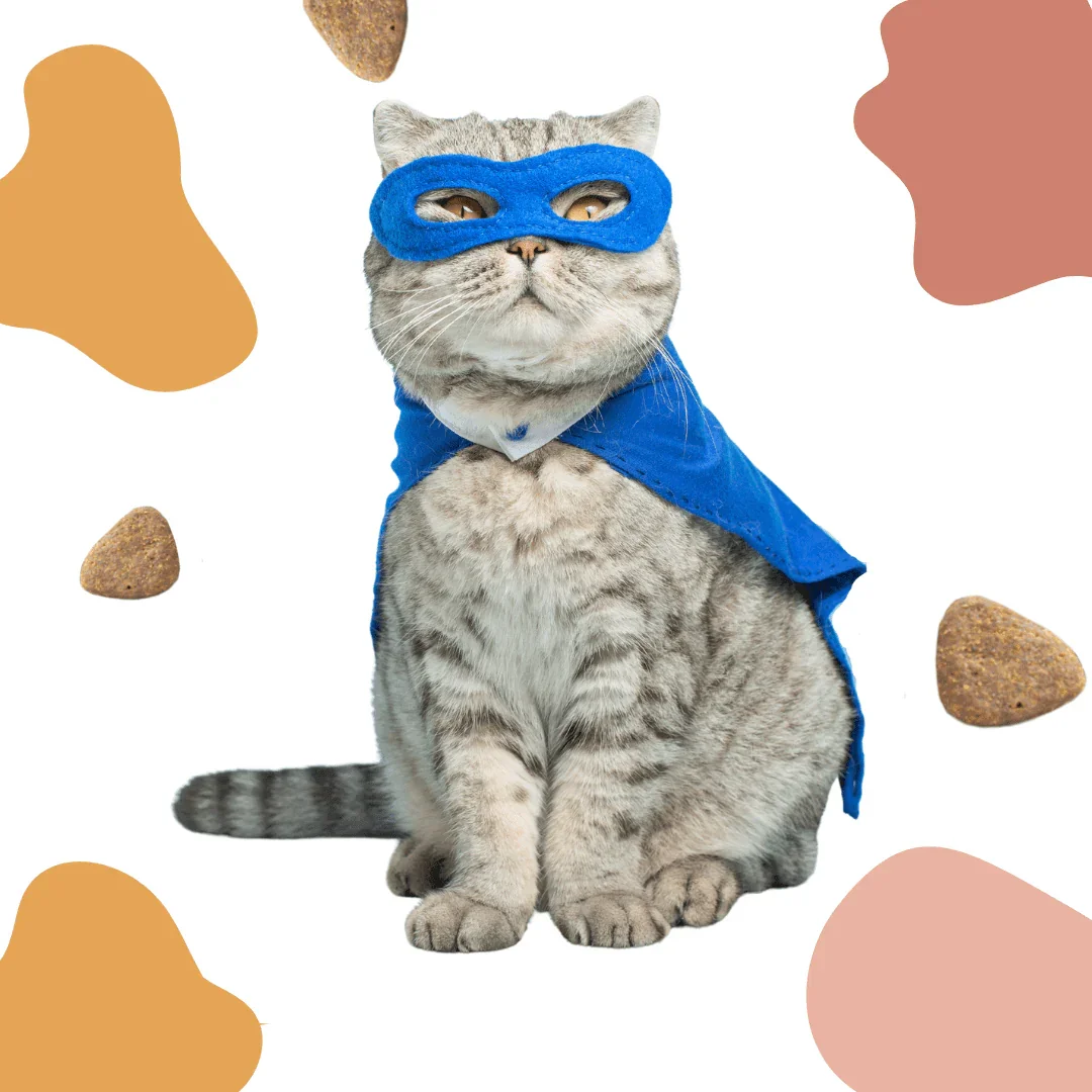 New Zealand Cat Food with Grains for All Life Stages (3/9 KG)