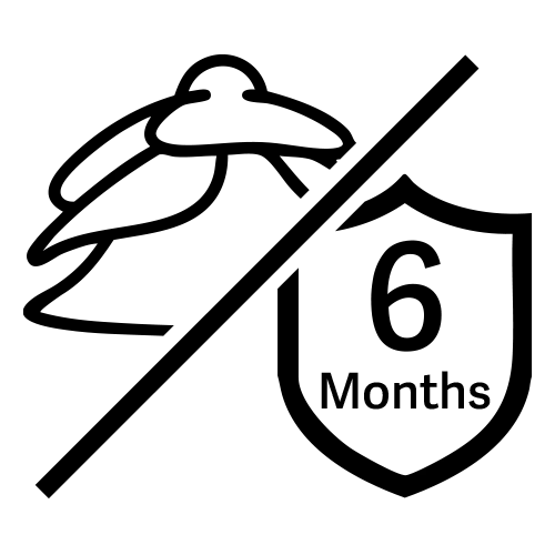 Ear Tips (4 Pairs) + 6-Month Warranty Extension — Core One Pro Exclusive