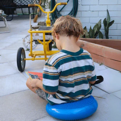 NeuroCalm™ Wiggle Cushion