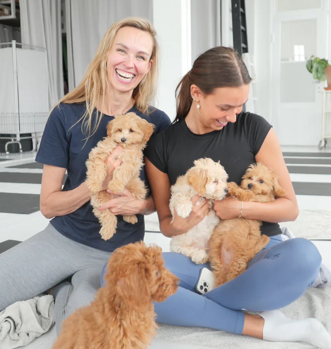 Seattle - Belltown Studio 1