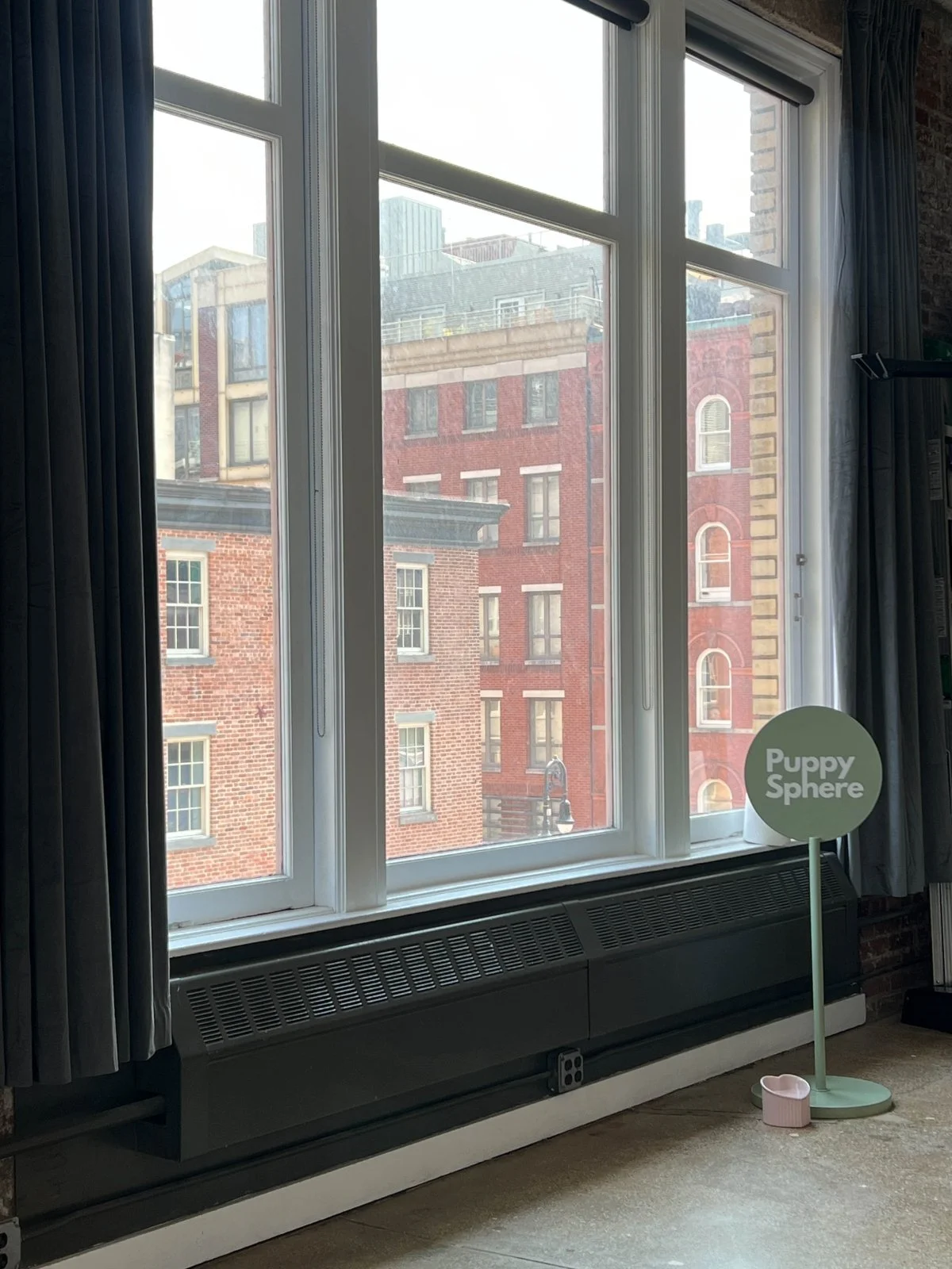 Wellness Puppy Yoga | Lower Manhattan