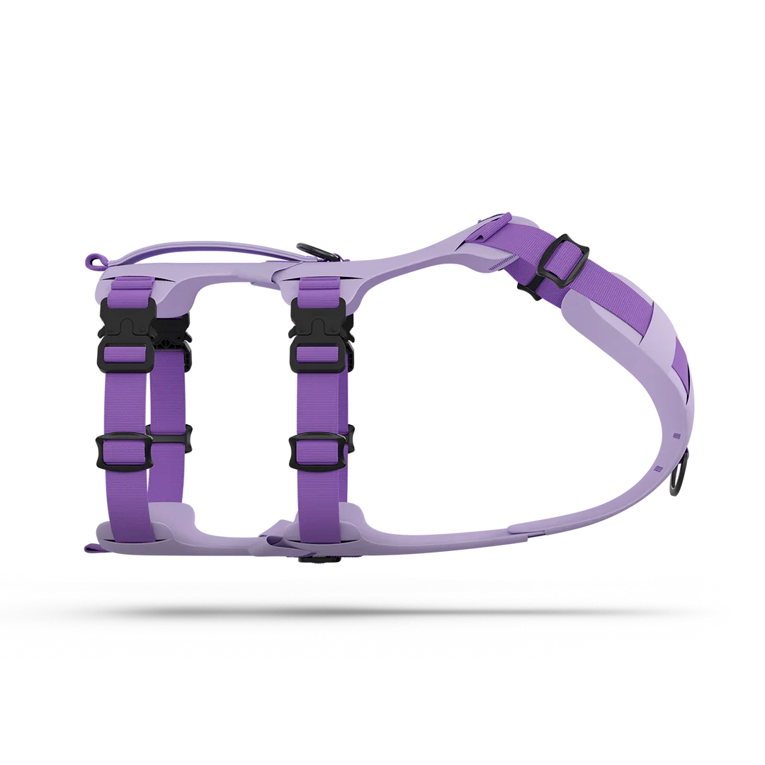 Muse™ harness