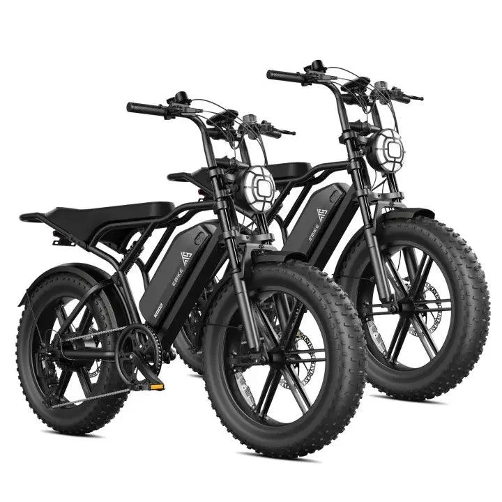 TST® Combo Sale R002 20" Full Suspension Moped-Style Ebike