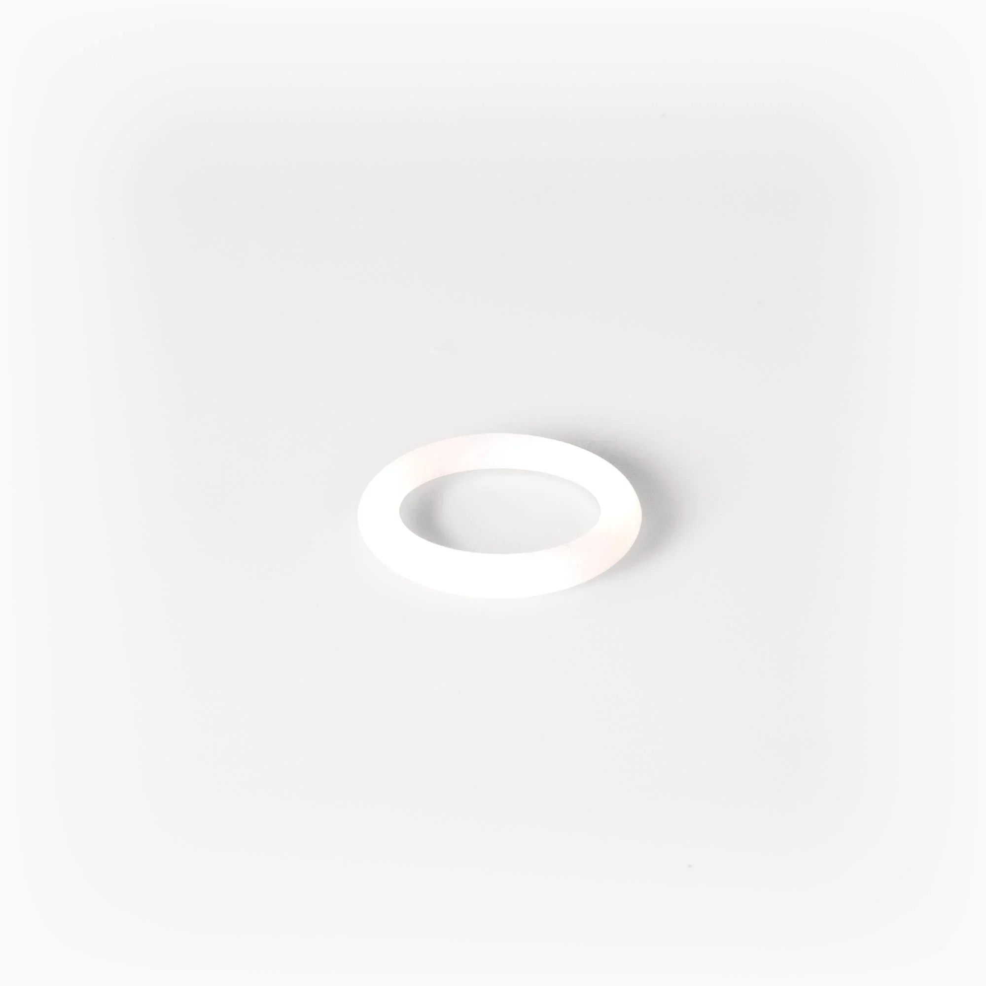O-ring