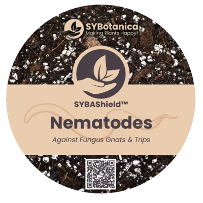 Nematoden gegen Trauermücken