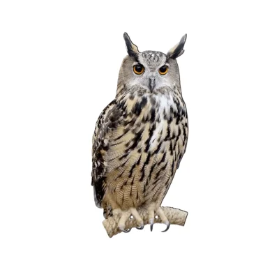 Visual Owl Decoy Deterrent for Pigeons and Birds - SilentOwl™