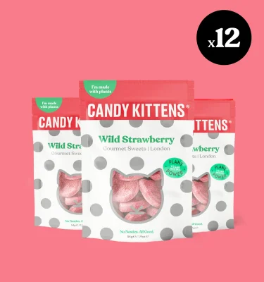 Wild Strawberry 54g x 12