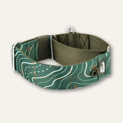 Martingale Collar