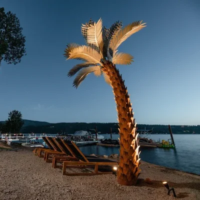 Crescent Palm Tree