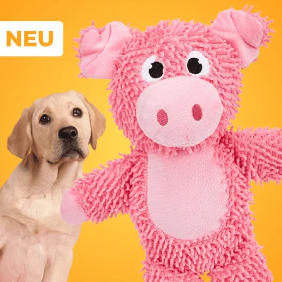 Franzi das Schweinchen