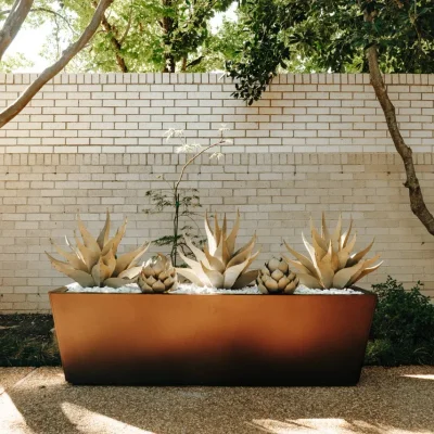 Sharkskin + Artichoke + Planter Bundle