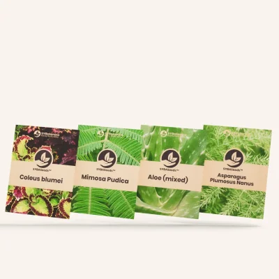 SYBASeeds 4-Pack
