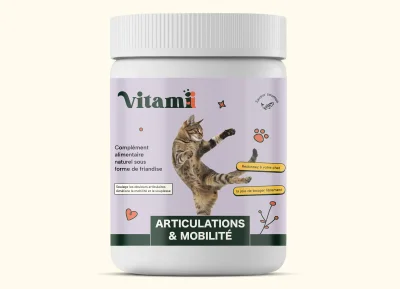 Friandises Naturelles Articulation Chat
