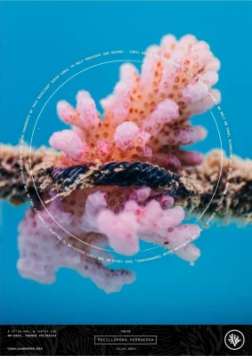 Tribute Technology - Plant a Memorial Coral