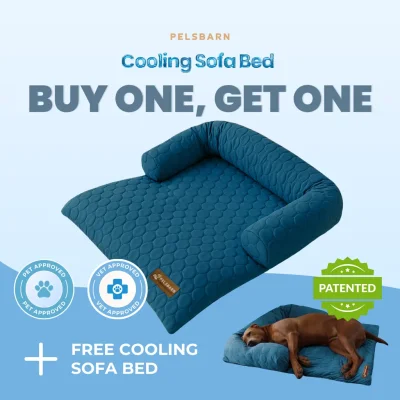 Cooling Sofa Bed