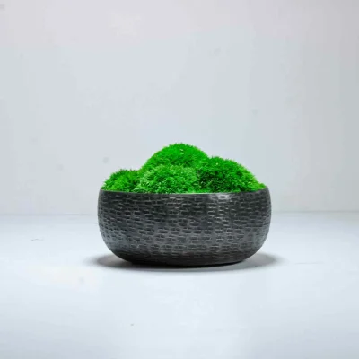 Moss Bowl