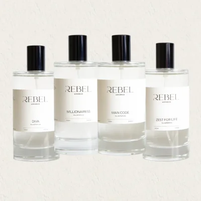 4 x 100ml Perfume Bundle