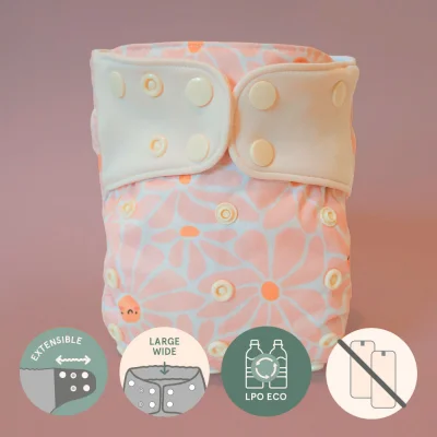 Couche à poche | Évolution