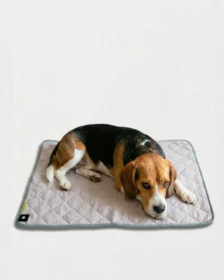 Grounding Pet Mat