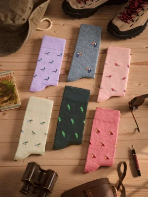 The Birdwatcher's Collection