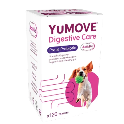 Digestive Care Prebiotic & Probiotic Tablets