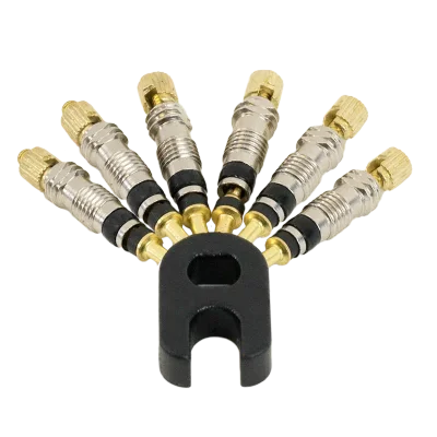 Replacement Presta Valve Core (set of 6)